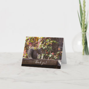Squirrel Chow Time Thank You Card