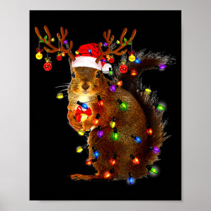 Squirrel Christmas Tree Lights Reindeer Santa Hat  Poster
