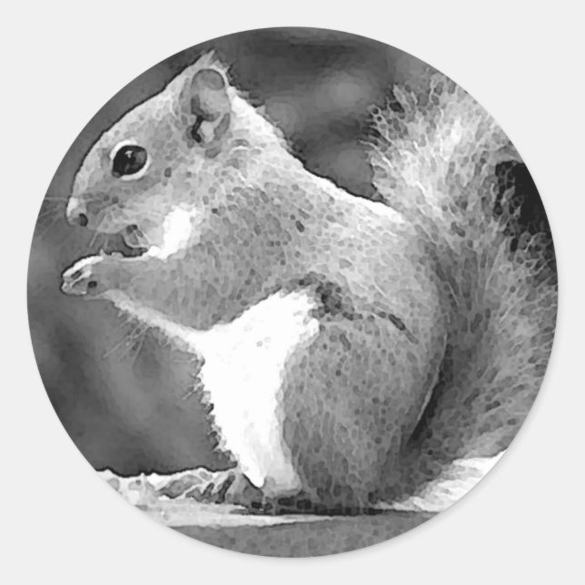 Squirrel Classic Round Sticker (Front)