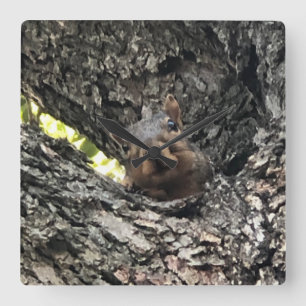 Squirrel Clock