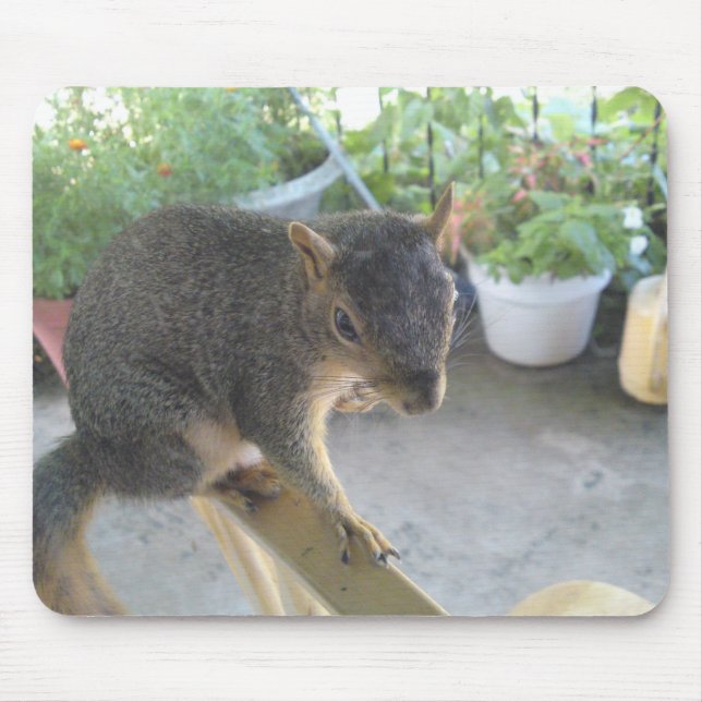 Squirrel Close Up Mousepad (Front)