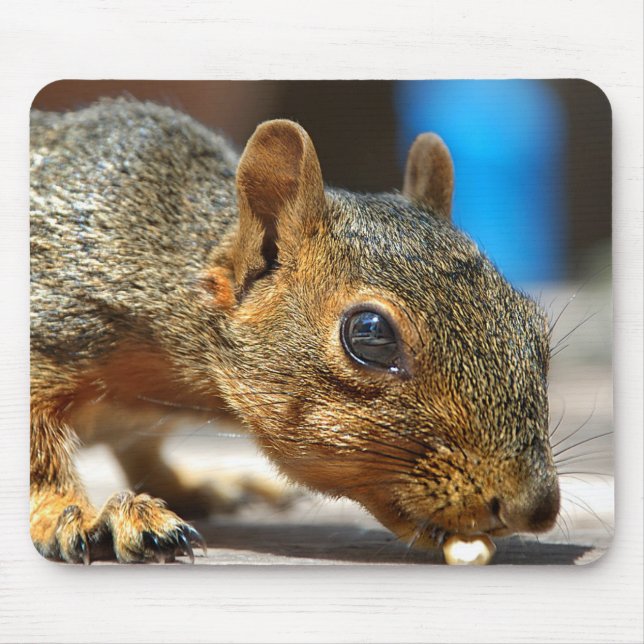 Squirrel Closeup Eating Mouse Pad (Front)