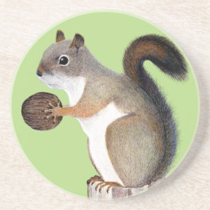 Squirrel Coaster