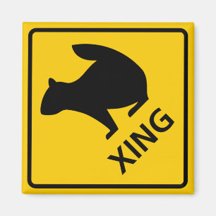 Squirrel Crossing Highway Sign Magnet