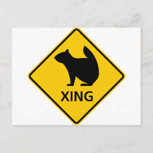 Squirrel Crossing Highway Sign Postcard