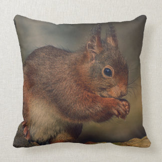 Squirrel Cushion