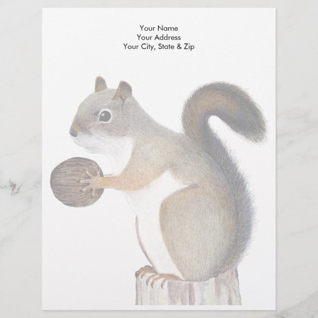 Squirrel Custom Letterhead (Front)