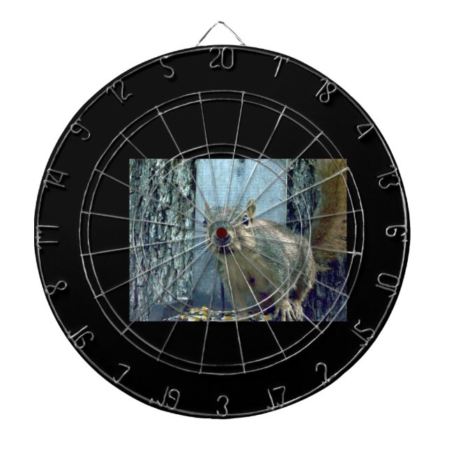 Squirrel Dartboard (Front)