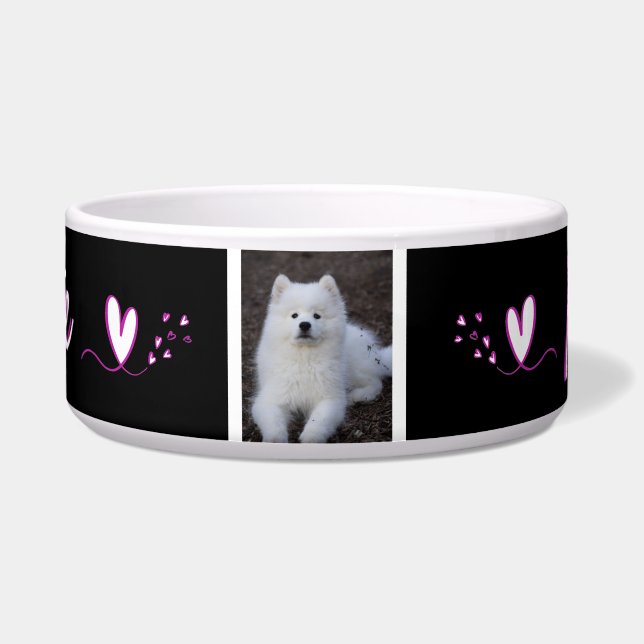 Squirrel, dog bowl, cat, c animal (Front)