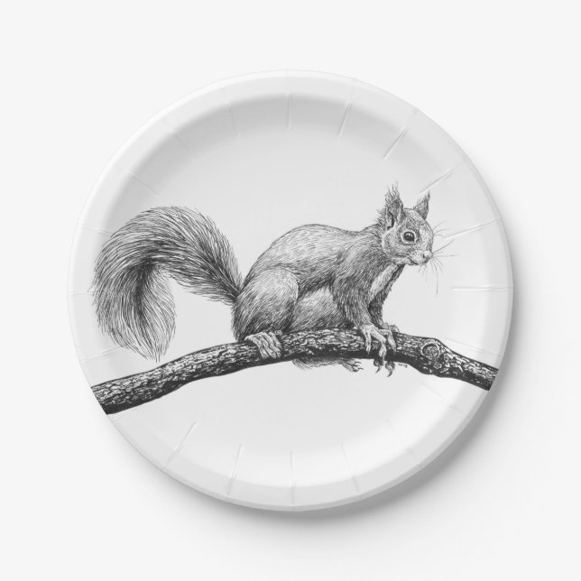 Squirrel drawing paper plate (Front)