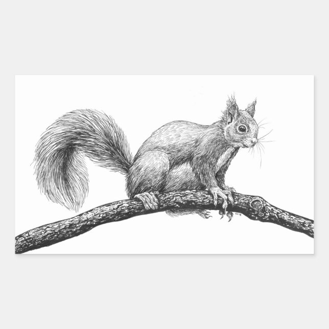 Squirrel drawing rectangular sticker (Front)