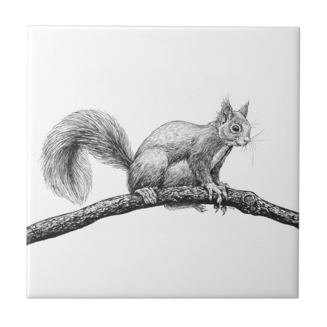 Squirrel drawing tile (Front)