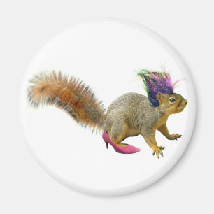 Squirrel Dress Up Magnet