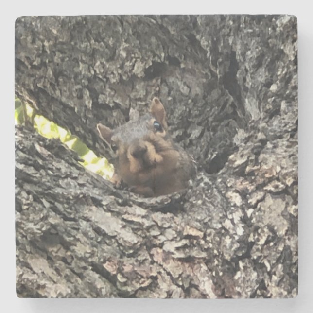 Squirrel Drink Coaster (Front)