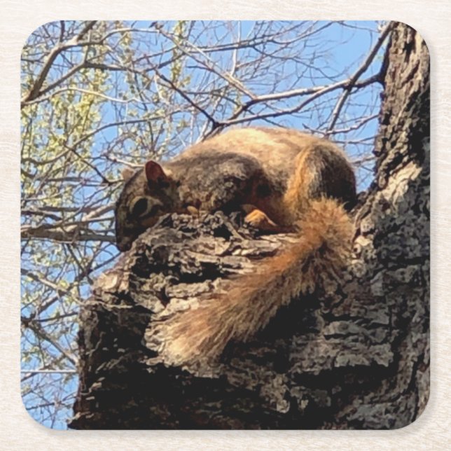 Squirrel Drink Coaster (Front)