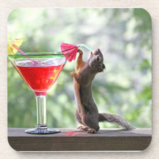 Squirrel Drinking a Cocktail at Happy Hour Coaster