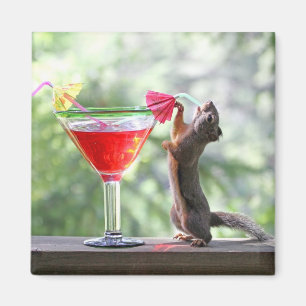 Squirrel Drinking a Cocktail at Happy Hour Magnet