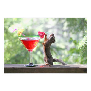 Squirrel Drinking a Cocktail at Happy Hour Photo Print