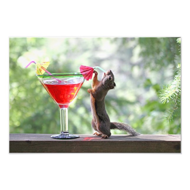 Squirrel Drinking a Cocktail at Happy Hour Photo Print (Front)