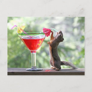 Squirrel Drinking a Cocktail at Happy Hour Postcard