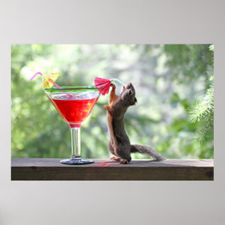 Squirrel Drinking a Cocktail at Happy Hour Poster