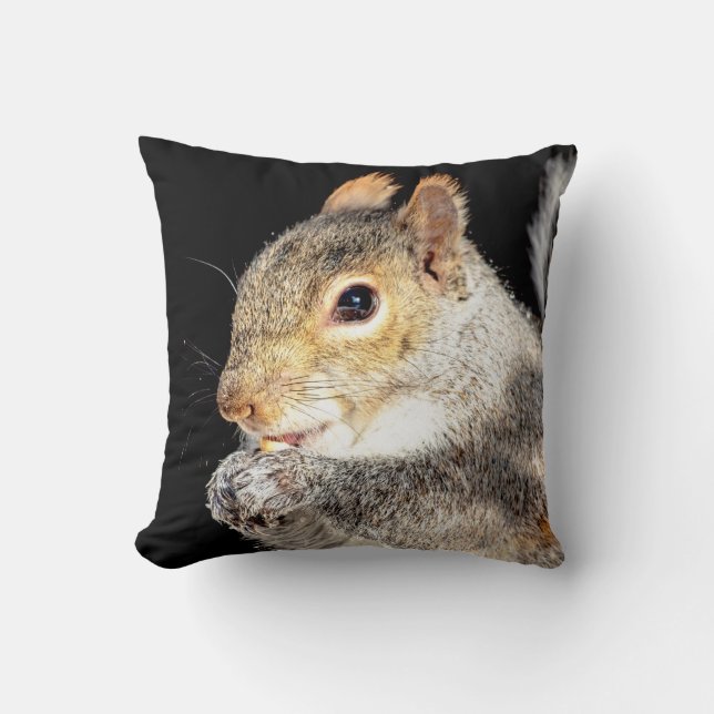 Squirrel eating a nut cushion (Front)