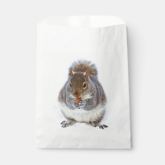 Squirrel Eating a Nut Cute Favour Bags (Front)