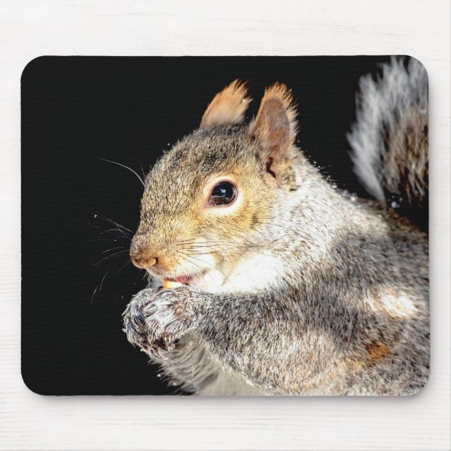 Squirrel eating a nut mouse pad (Front)