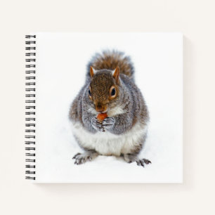 Squirrel Eating a Nut Notebook
