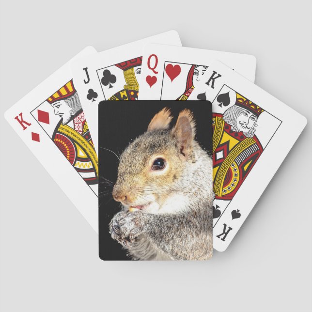 Squirrel eating a nut playing cards (Back)