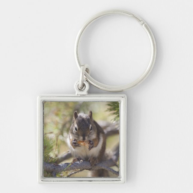 Squirrel eating a pine cone key ring (Front)