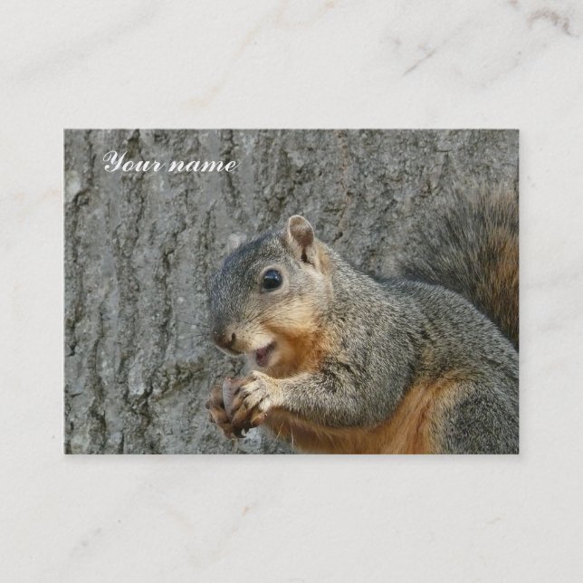 squirrel eating business card (Front)