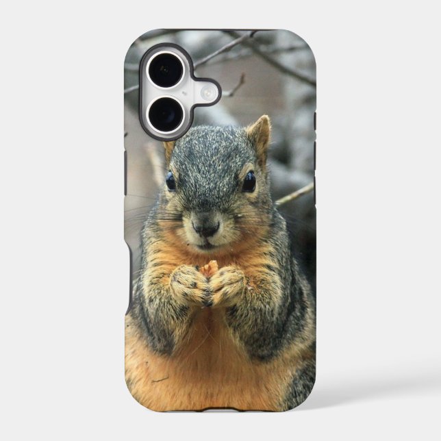 Squirrel Eating Nut (Back)