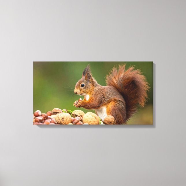 squirrel eating nut canvas print (Front)