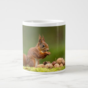 squirrel eating nut large coffee mug