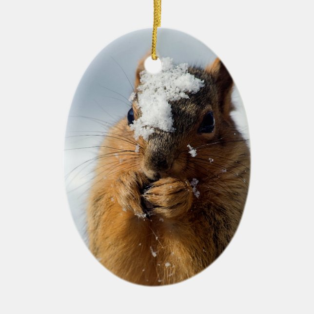 Squirrel Emerging from Snow Ceramic Tree Decoration (Front)