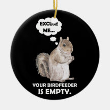 Squirrel Excuse Me Your BirdFeeder Is Empty