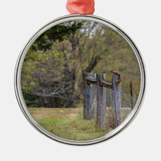 Squirrel Fence Pose Metal Tree Decoration (Front)