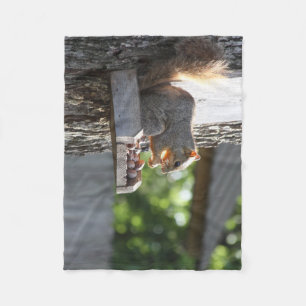 Squirrel Fleece Blanket