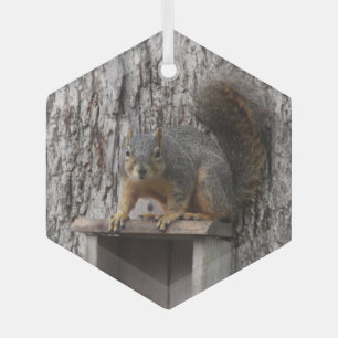 Squirrel glass tree decoration