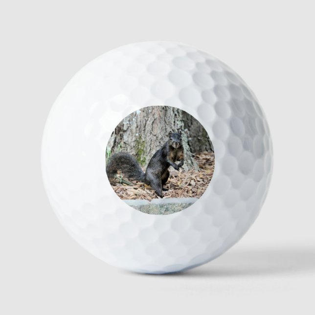 Squirrel   golf balls (Front)