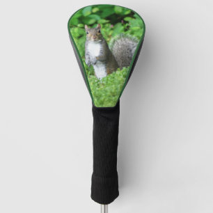 Squirrel Golf Head Cover