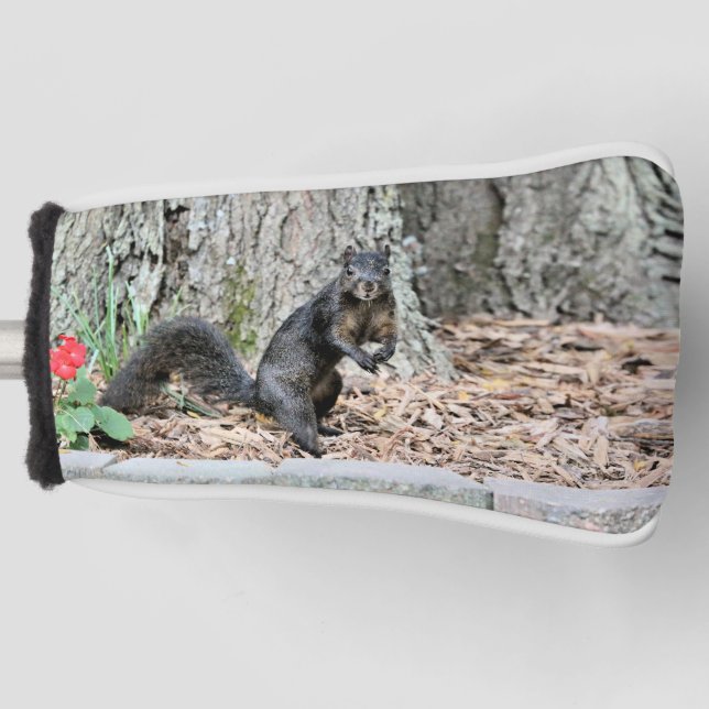 Squirrel Golf Head Cover (Front)