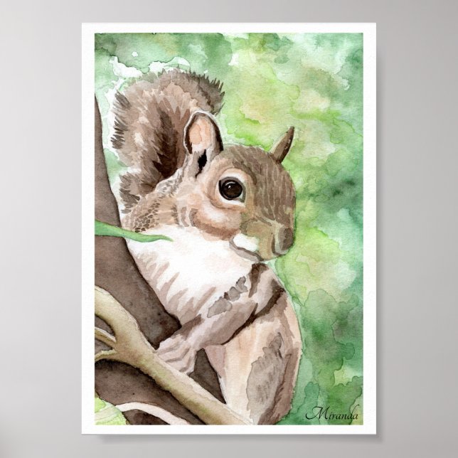Squirrel Got Nuts Art Print Ready To Frame Miranda (Front)