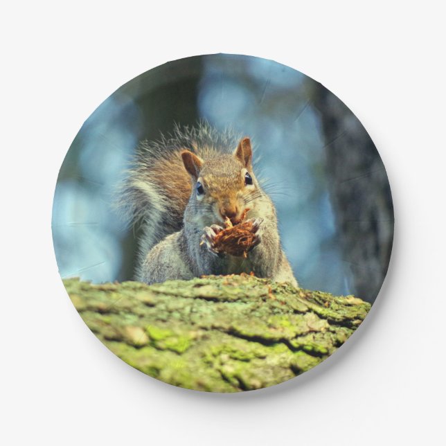 Squirrel (Gray) paper plate (Front)