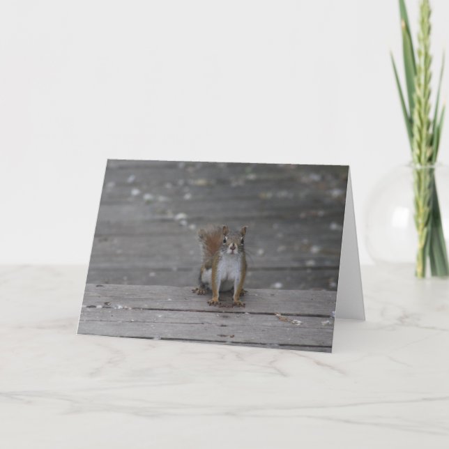 Squirrel greeting card (Front)