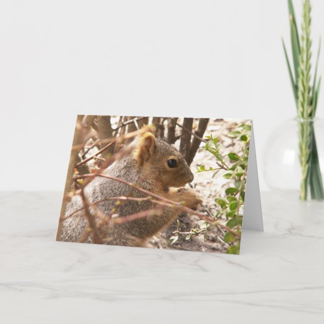 Squirrel Greeting Card (Front)