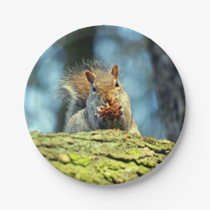 Squirrel (Grey) paper plate