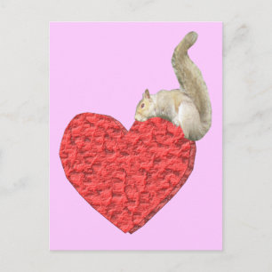 Squirrel Heart Pink Postcard