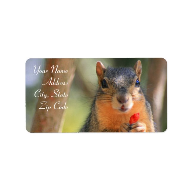 Squirrel Holding Cheese Puff Address Labels (Front)